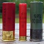 Image result for Birdshot Shells