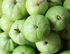 Image result for Guava Fruit Pile