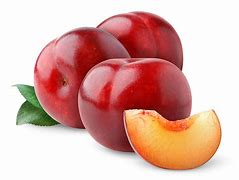 Image result for Umeboshi Plum Tree