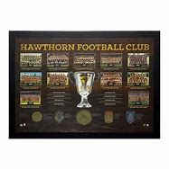 Image result for Hawthorn Football Club Logo