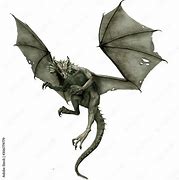 Image result for Flying Dragon Animal