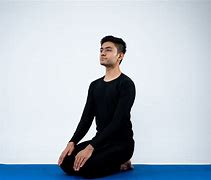 Image result for Vakrasana Pose