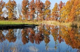 Image result for Sunny Country Footpath