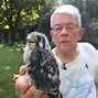 Image result for Kestrel Nest Box