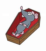 Image result for Dead Rat Funny