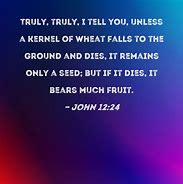 Image result for John 12 24 and Wheat