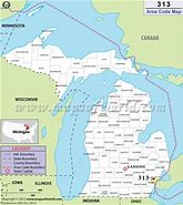 Image result for 248 Area Code Map