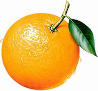 Image result for Orange Done Check Free Clip Art