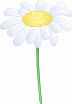 Image result for Simple Daisy Flower Clip Art