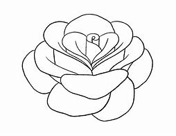 Image result for Drawn Roses Images