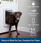 Image result for Smart Dog Door