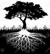 Image result for Tree Roots Clip Art Black and White