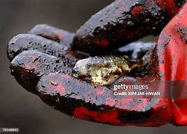 Image result for Man Finds Oil in Ground