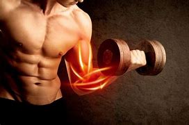 Image result for Build Muscle