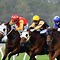 Image result for Ipswich Racecourse