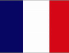 Image result for WW1 French Infantry Flags