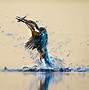 Image result for Kingfisher Wallpaper 4K