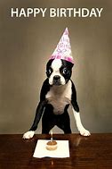 Image result for Puppy Birthday Meme