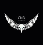 Image result for CND Electric Logo