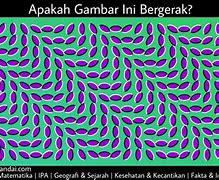 Image result for Bergerak Ilusi