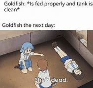 Image result for Nichijou Funny PFP