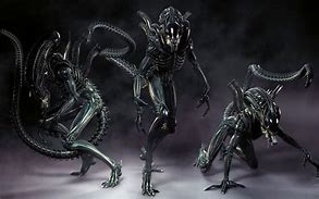 Image result for Nysrok Alien Vampires