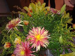 Image result for Flower Bouquets