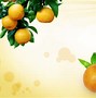 Image result for Froot Apricot Wallpaper