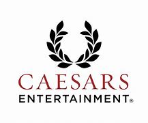 Image result for Caess Logo