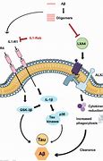 Image result for Cell Pathways Chart