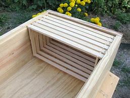 Image result for Long Bee Hive Plans