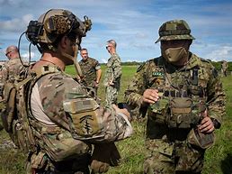 Image result for Army Green Beret Uniform