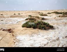 Image result for tunisia sahara desert