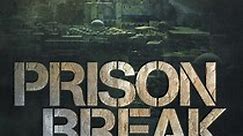 Prison Break Season 5 - watch full episodes streaming online