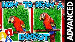 How To Draw A Bird (Parrot) - Advanced