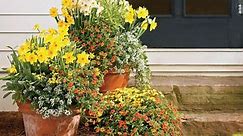 38 Front Door Container Garden Ideas For An Eye-Catching Entryway