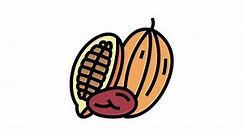 cocoa nut color icon animation