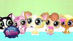 Littlest Pet Shop - 'Blythe & Bunny' Webisode