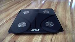 RENPHO Setup Smart Scale (ES-CS20M)