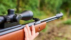 The 13 Best Air Rifles Reviewed & Revealed ( Hands-on 2021 Airgun Guide)