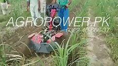 Power Weeder - Tiller