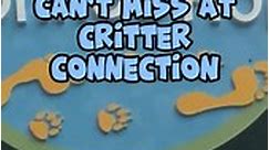 5 Things You Can't Miss at Critter Connection