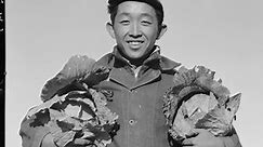 What Japanese-American Farmers Did For the West: A Brief History