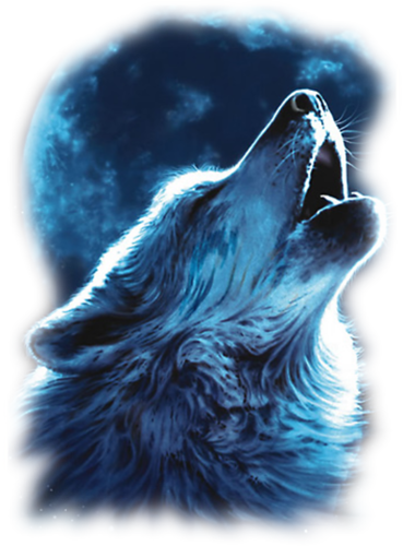 animal-loup5marieok