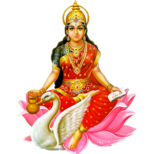 Gayatri-chalisa-vedicgrace