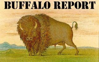 BR's buffalo is by George Catlin