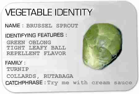 Vegetable ID card for a Brussel Sprout