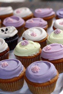 babycakes cupcakes