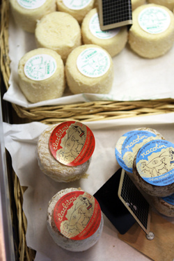 goat cheeses