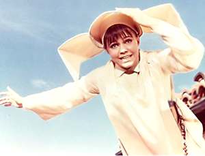 http://www.fiftiesweb.com/tv/sally-field-c1.jpg